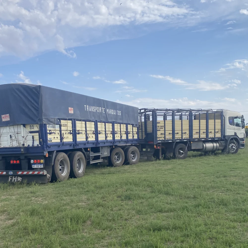 Chasis acoplado paletero